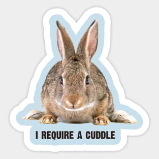 I Require a Cuddle Sticker